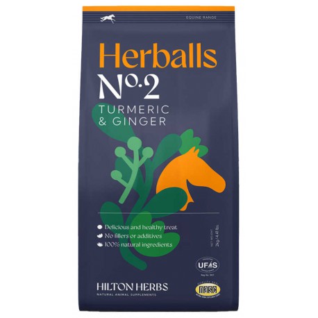 [728002200] Herballs HILTON HERBS - Curcuma & Gingembre