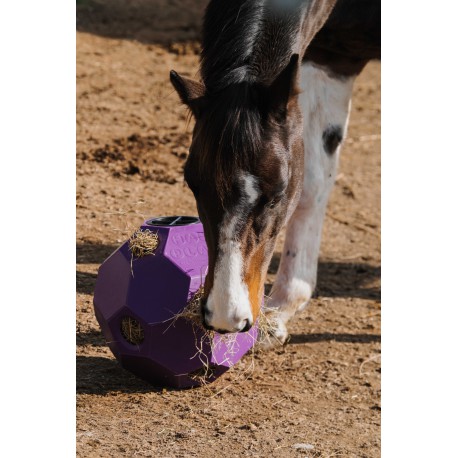 Balle anti-glouton HIPPOTONIC pour foin