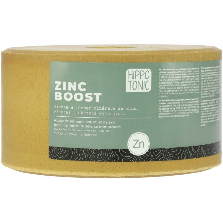 Pierre de sel HIPPOTONIC - Zinc boost