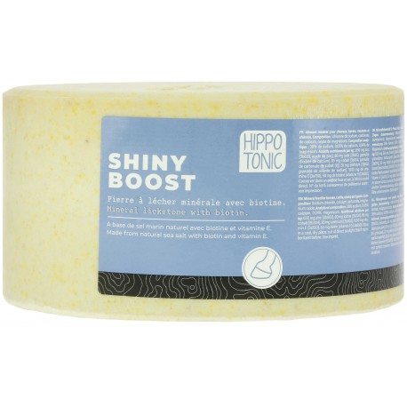 [731002300] Pierre à sel HIPPOTONIC - Shiny boost