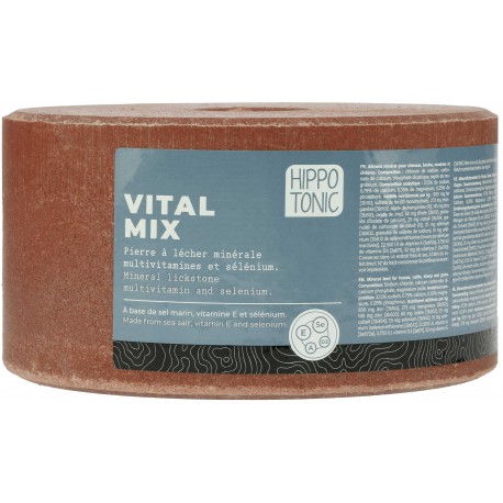 Pierre à sel HIPPOTONIC - Vitalmix