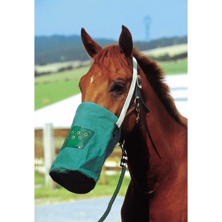 Musette canvas HIPPOTONIC