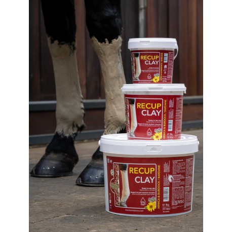 Argile de récupération KEVIN BACON'S - Recup Clay