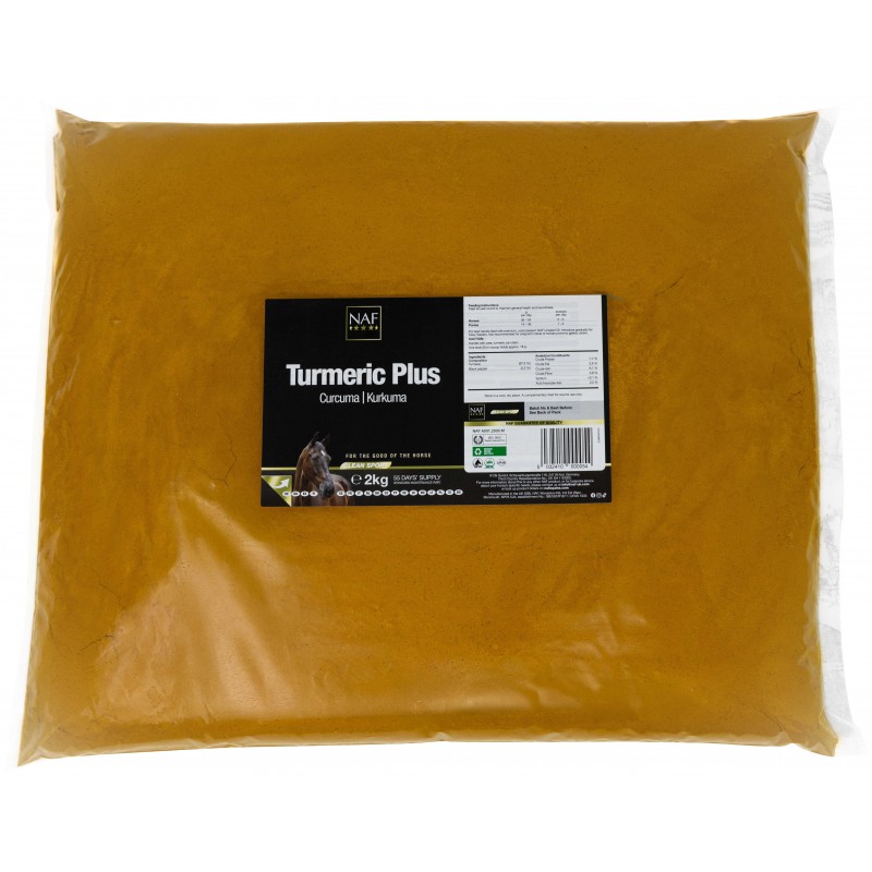 Poudre de Curcuma Plus - NAF