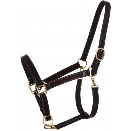 Licol grooming en cuir huilé NORTON - Derby