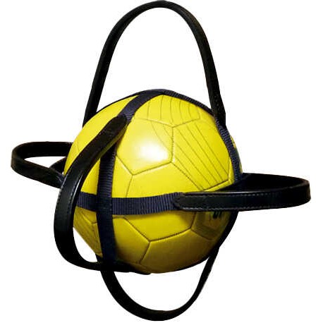 Enveloppe pour ballon de Horse-Ball NORTON