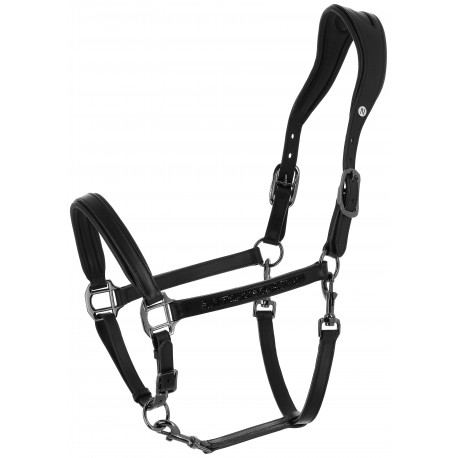 Licol cuir anatomique NORTON - EK-Crystal