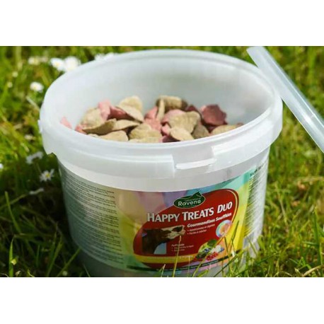 Duo de friandises RAVENE