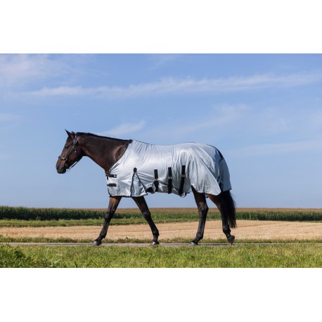 Chemise RIDING WORLD - Belly Mesh
