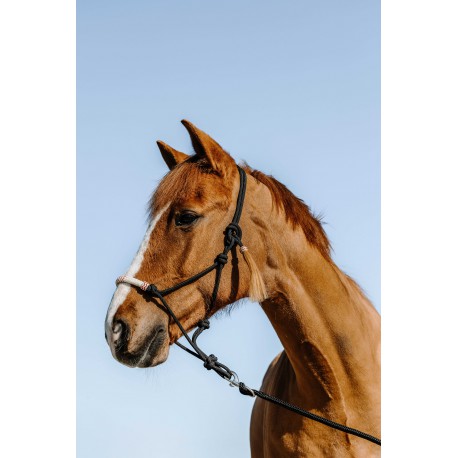 [510272302] Licol éthologique WESTRIDE - Western