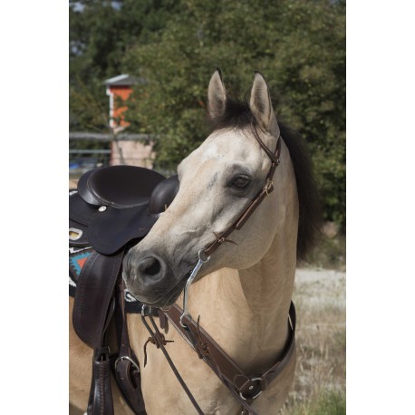 Bridon WESTRIDE by Franck Perret - 1 oreille