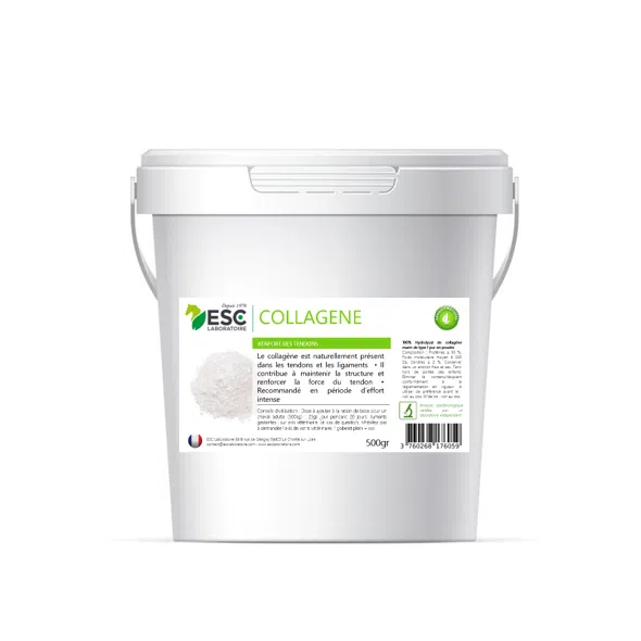 COLLAGÈNE MARIN PUR – Renforcement des tendons du cheval