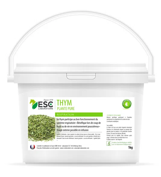 THYM – Hygiène et confort respiratoire pour chevaux – Plante pure