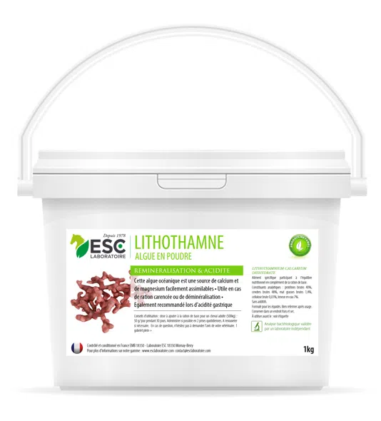 LITHOTHAMNE – Reminéralisation et acidité gastrique du cheval – Plante pure