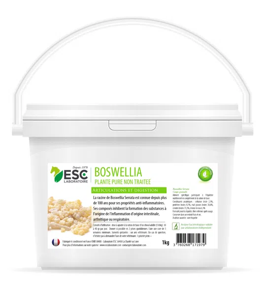 BOSWELLIA SERRATA – Plante pure – Sensibilités articulaires et pulmonaires du cheval
