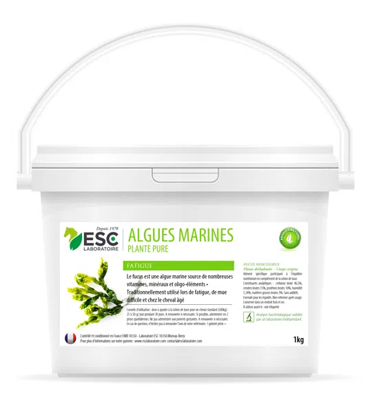 ALGUES MARINES – Fatigue et perte de forme du cheval – Plante pure