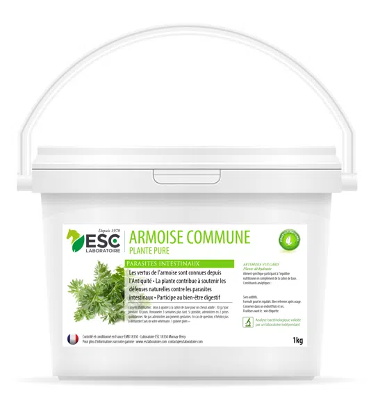ARMOISE – Parasites intestinaux du cheval – Plante pure