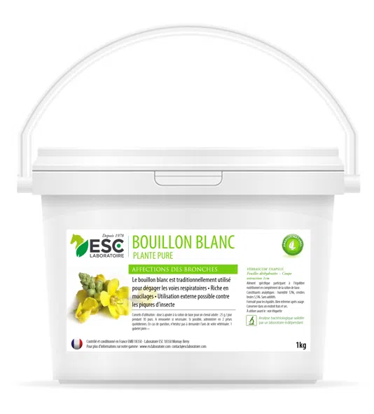 BOUILLON BLANC – Irritation et congestion bronchique du cheval – Plante pure