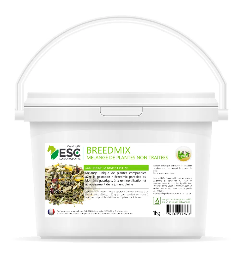 BREEDMIX – Gestation et lactation well-being pour mares – Mixture de plants