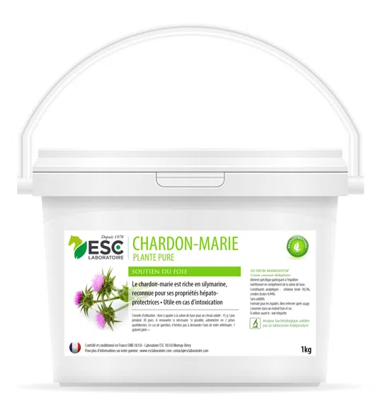 CHARDON-MARIE – Détox du foie du cheval – Plante pure