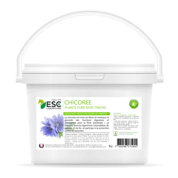 CHICORÉE – Digestion et flore intestinale du cheval – Plante pure