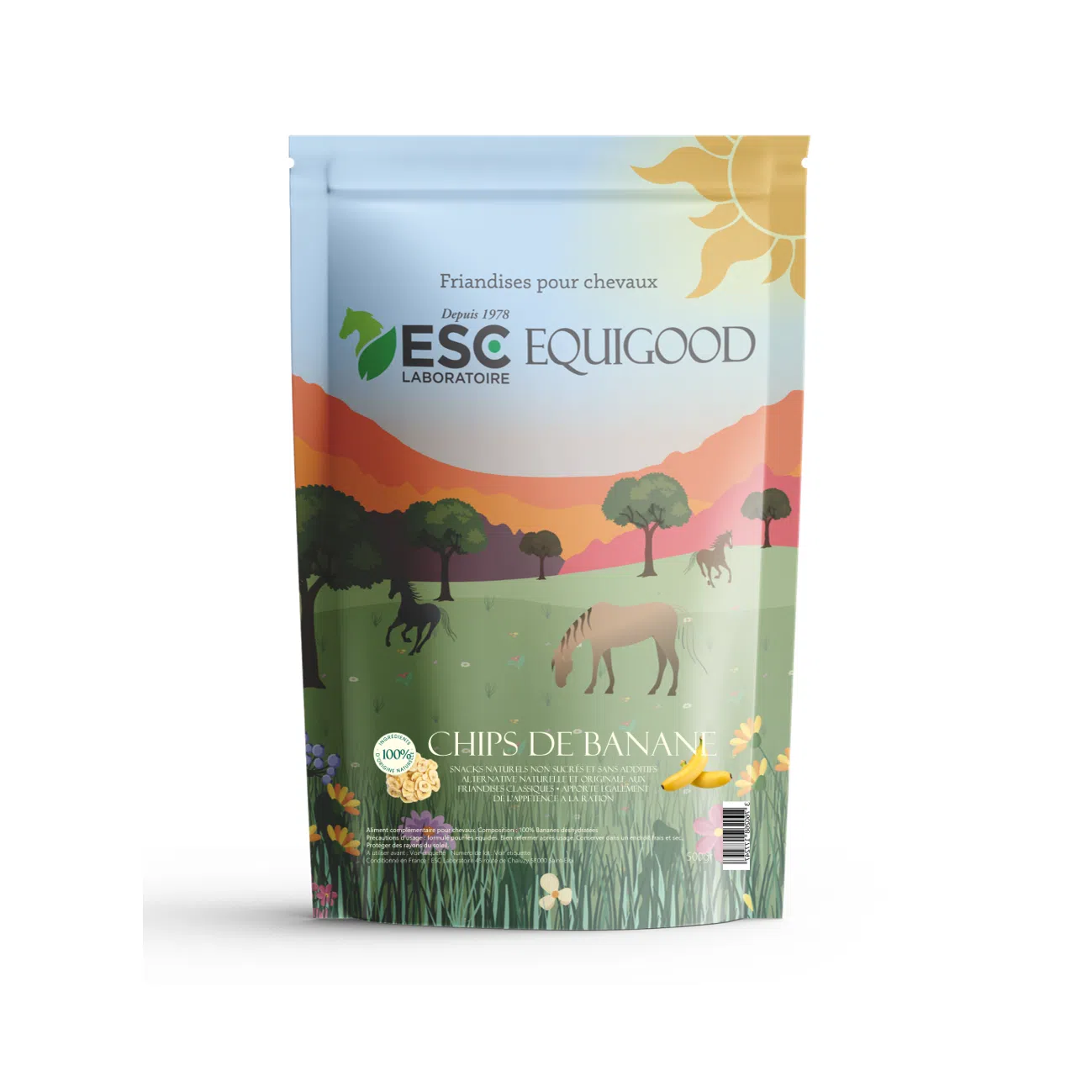 BANANA CHIPS Horse – Sugar-free and natural treats