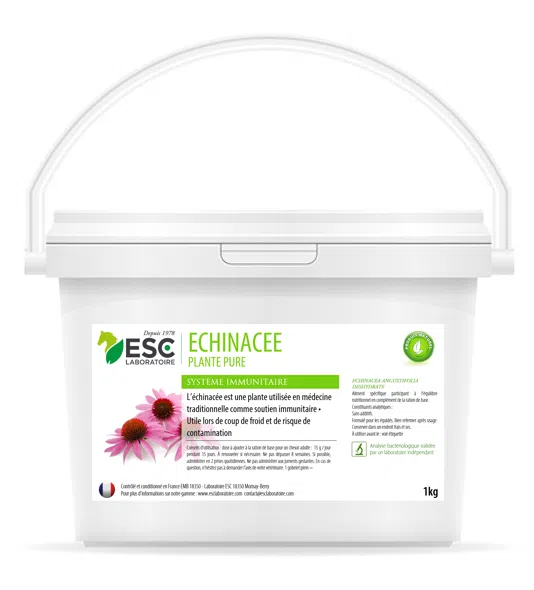 ECHINACÉE – Défenses immunitaires du cheval – Plante pure