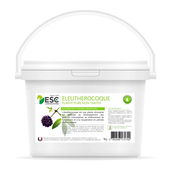 ELEUTHEROCOQUE – Immune defenses et cheval recovery – Pure plant