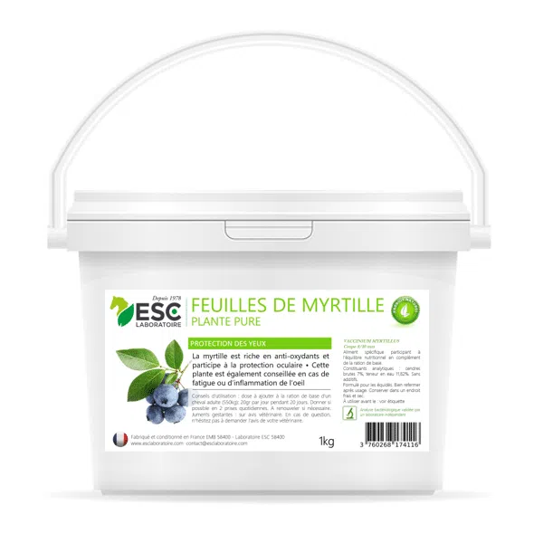 FEUILLES DE MYRTILLE – Protection des yeux du cheval – Plante pure