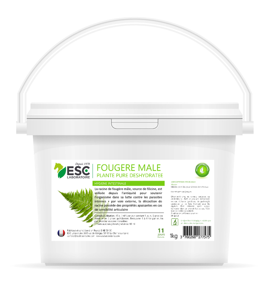 FOUGERE MALE – Hygiène intestinale du cheval