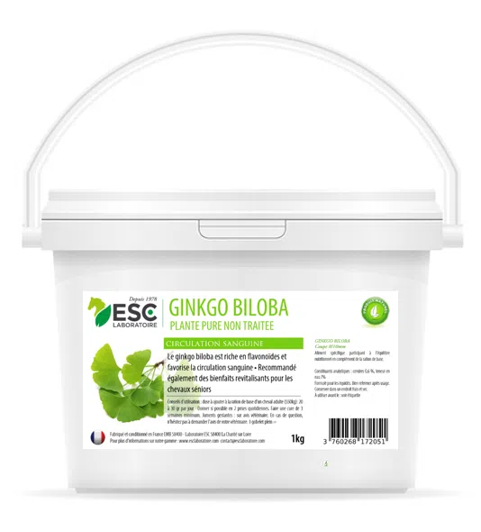 GINKGO BILOBA – Bien-être du cheval et circulation sanguine – Plante pure