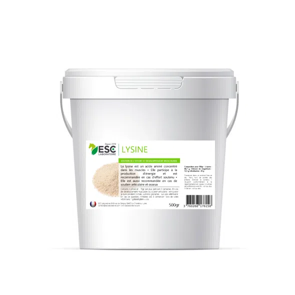 LYSINE + – Soutien de l'effort et développement musculaire du cheval