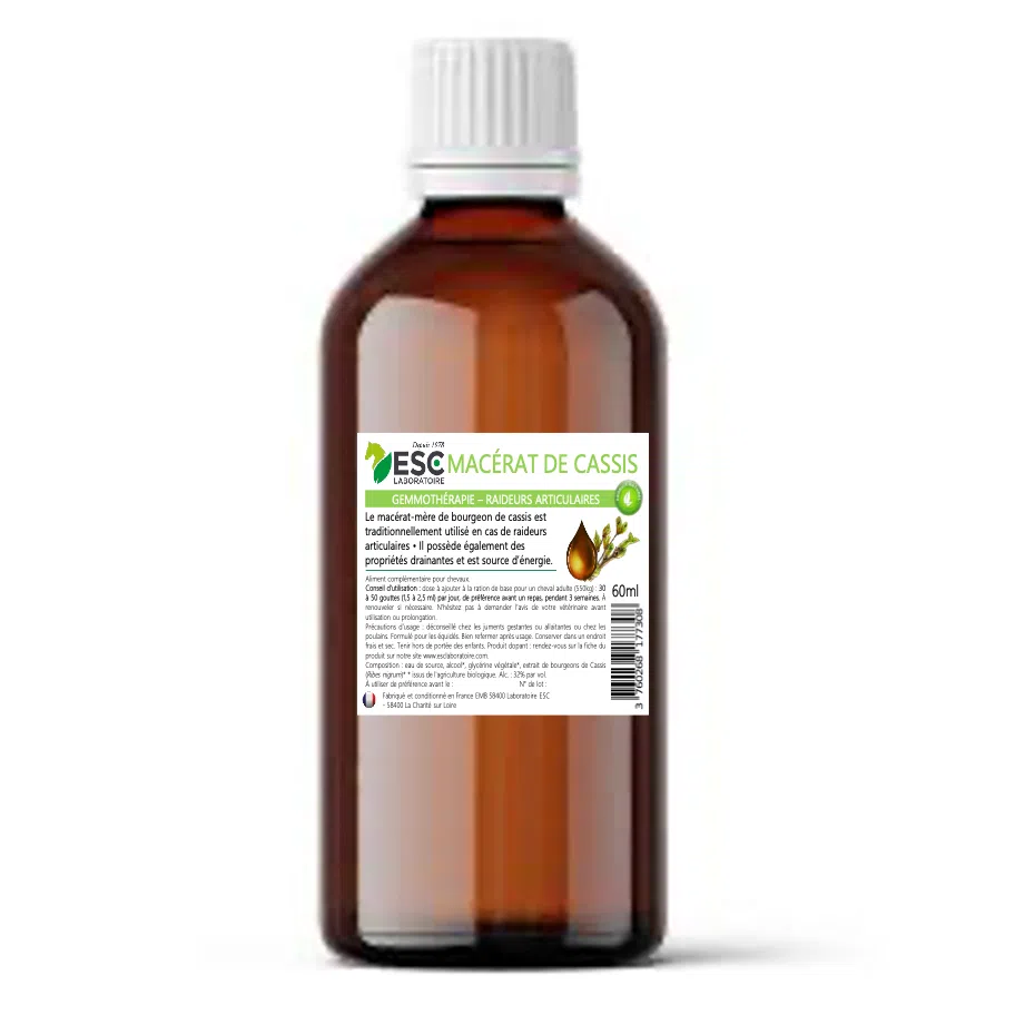 MACERAT DE BOURGEONS DE CASSIS – Gemmothérapie pour cheval – Articulations, fatigue
