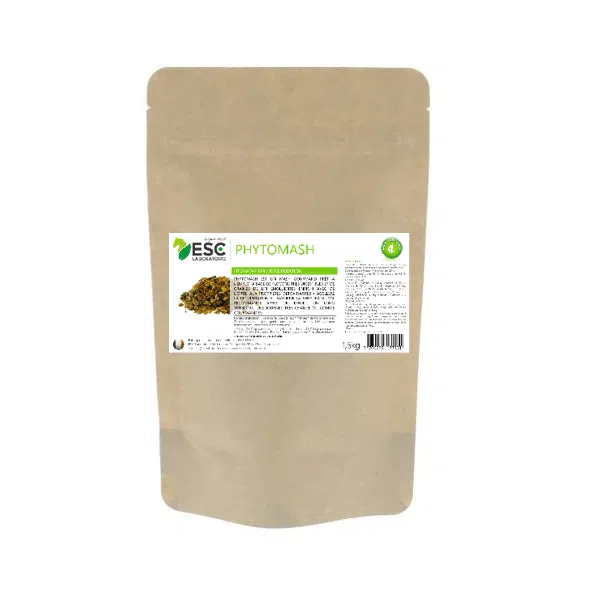 PHYTOMASH – Cheval hydration et recovery