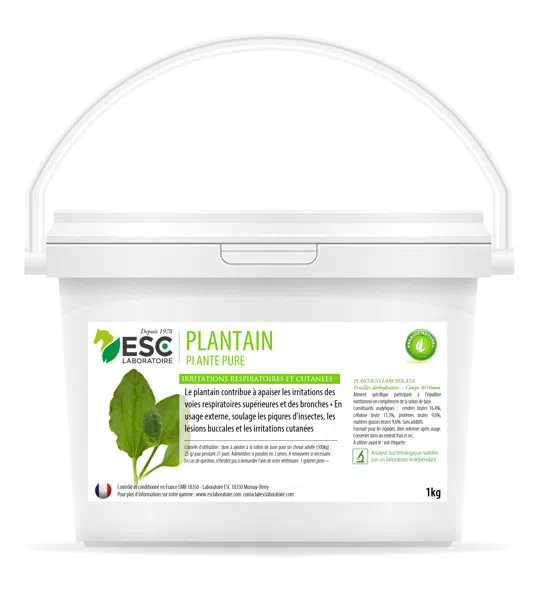 PLANTAIN – Respiration du cheval et irritations cutanées – Plante pure