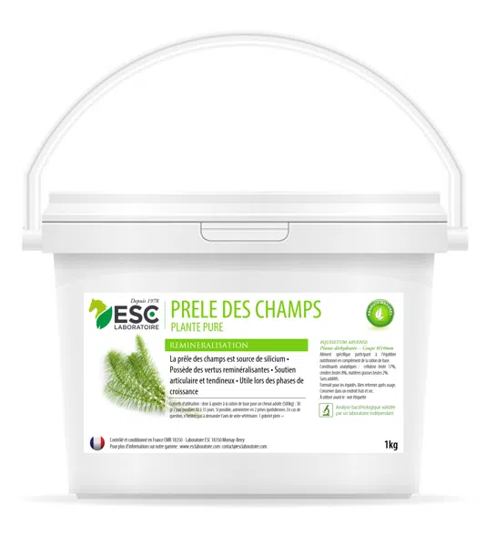 Prêle – Articulations et raideur du cheval – Plante pure