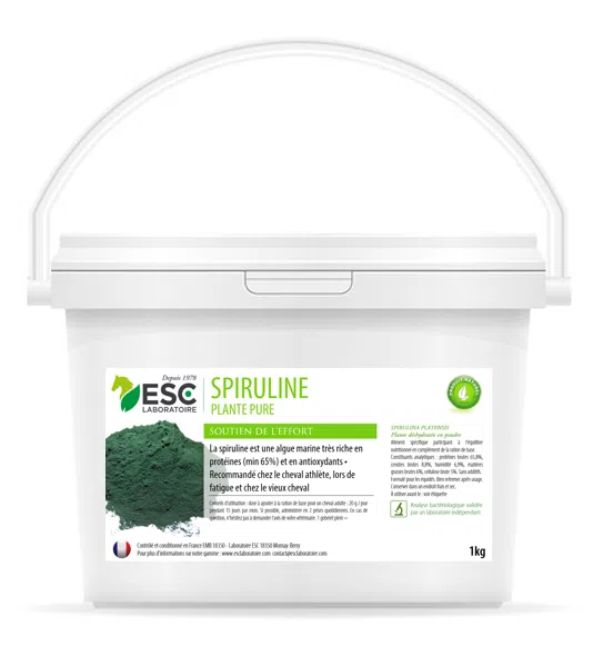 SPIRULINA – Support pour effort et le cheval’s body – Pure plant