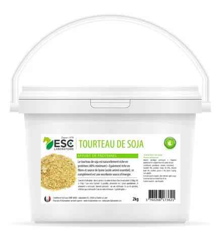NON-GMO SOYMEAL – Protein intake et energy support pour chevaux