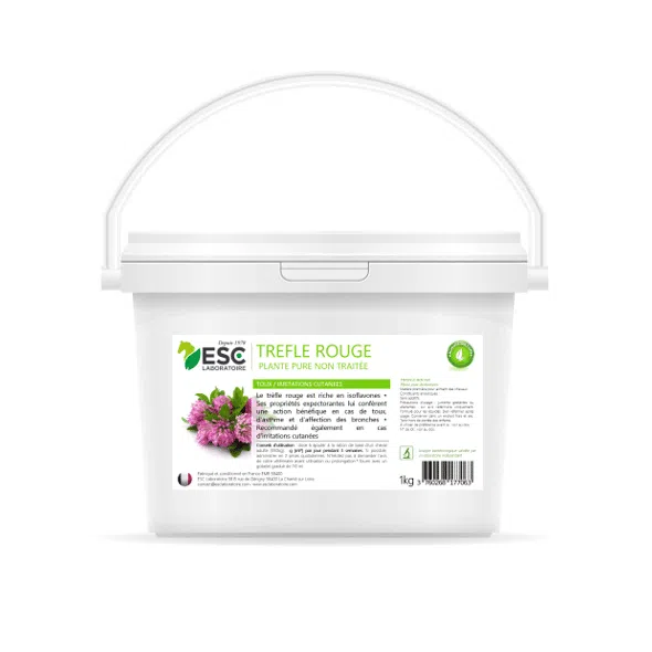 TRÈFLE ROUGE – Respiration et régulation hormonale du cheval – Plante pure