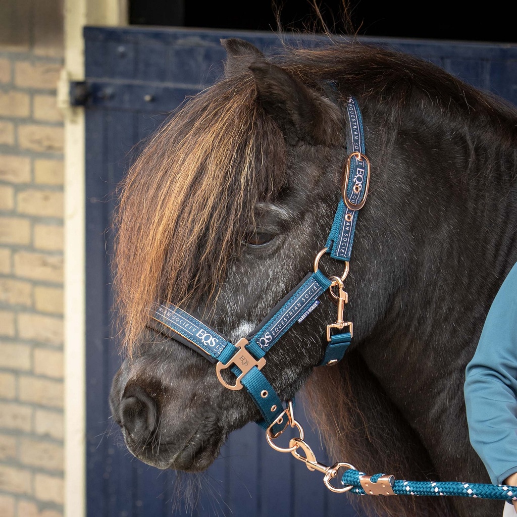 Licol et longe Equestrian Society