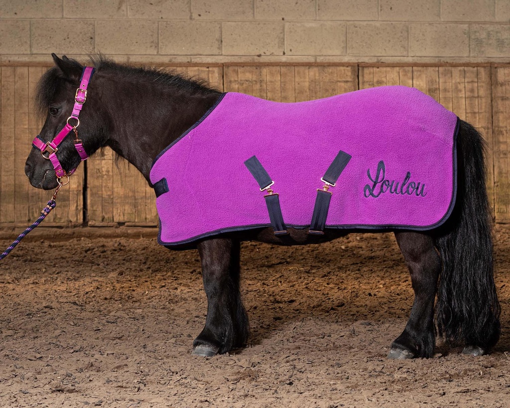 Couverture polar LouLou Quinn