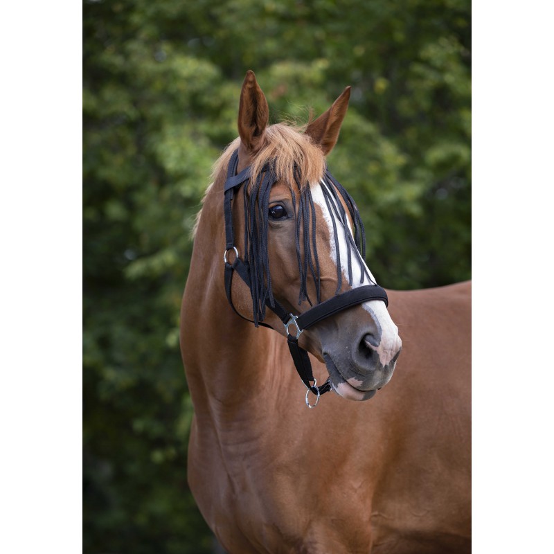 [306730123] Frontal chasse-mouches NORTON (Blanc/Noir/Framboise, Poney)
