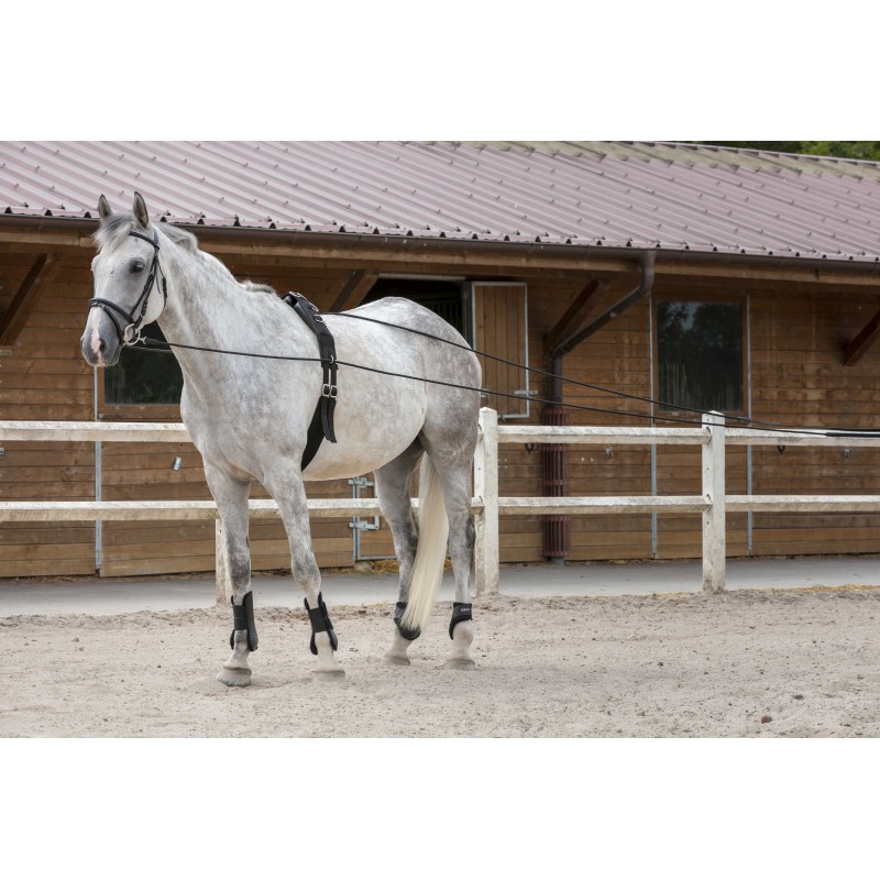 [305055302] Longues rênes RIDING WORLD cuir/corde (noir)