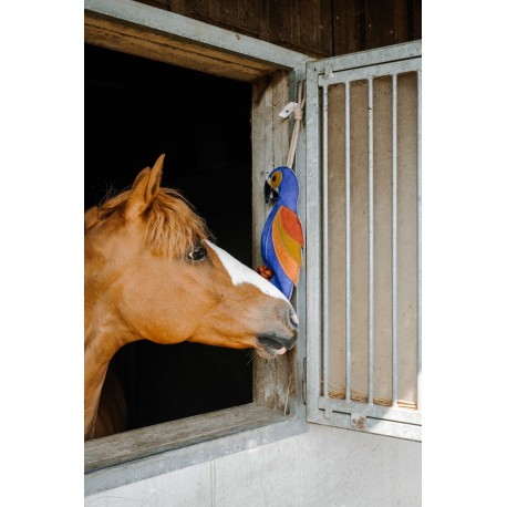 [700996006] Jouet pour chevaux HIPPOTONIC - Perroquet