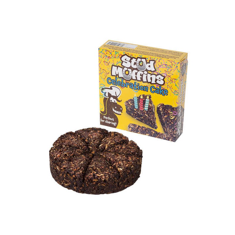 [380138] Celebration Cake - STUD MUFFINS
