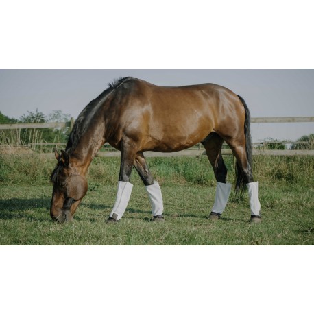 [530098001] Guêtres anti-mouches EQUITHÈME - Anti-UV (Poney)