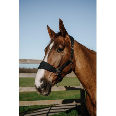 [510294102] Licol EQUITHÈME – Breeze (noir, Poney)