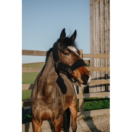 [510279102] Licol NORTON - Sherpa (noir, Poney)