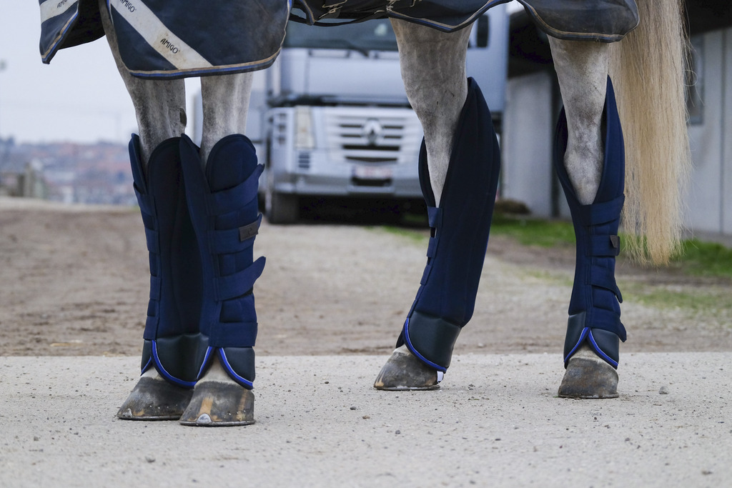 Guêtres de transport EQUITHÈME "Classic" (Cheval)