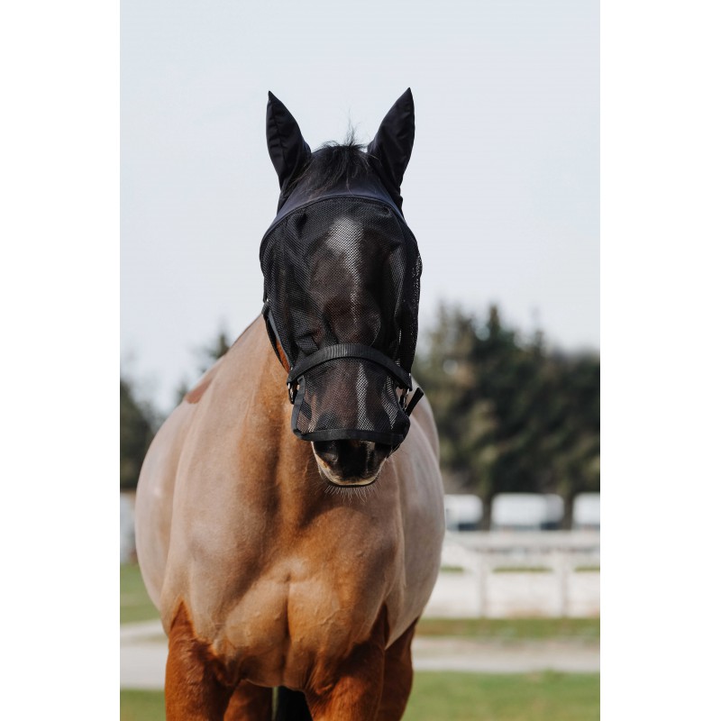 [510062001] Licol + masque EQUITHÈME (Poney)